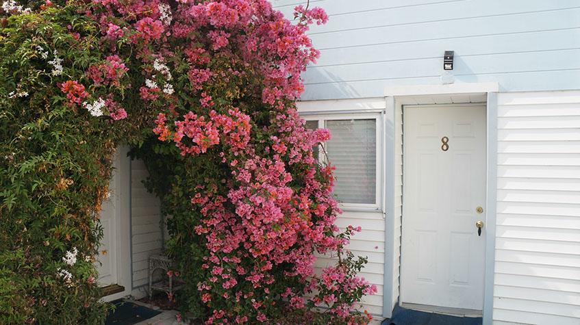 Stinson Beach Motel Exterior photo